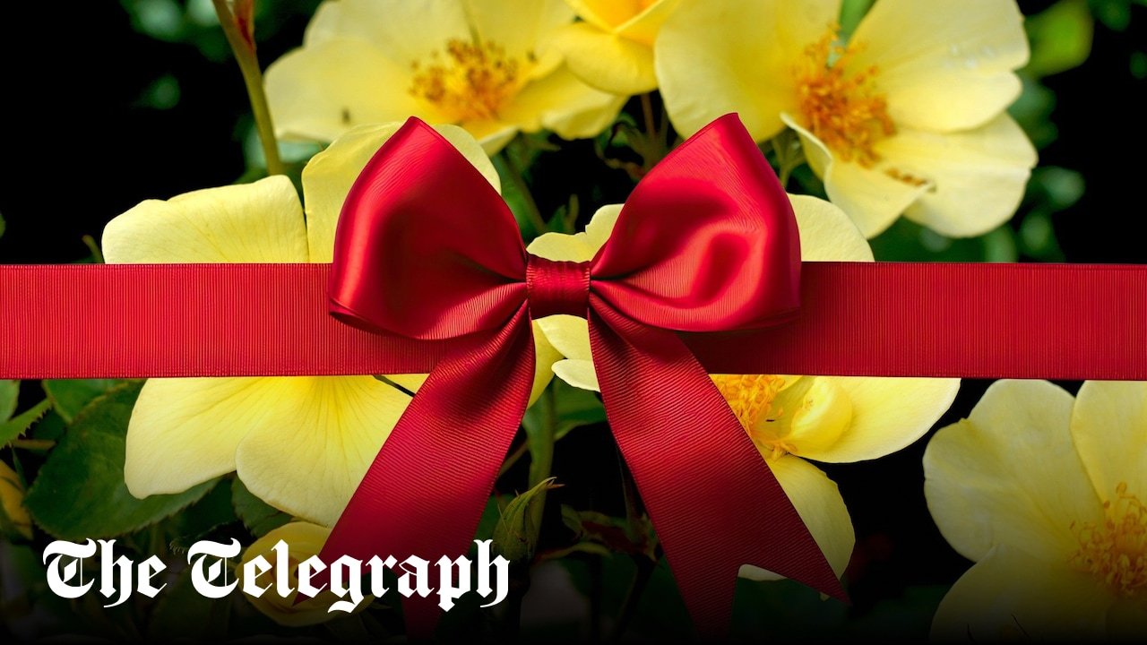 The nine best plants to give for Mother’s Day