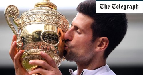 Plant-based, dairy-free and 'mindful mouthfuls': the diet that helped Djokovic win Wimbledon