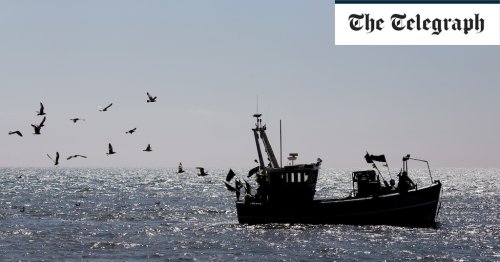 Scottish fishermen accuse SNP of ignoring Brexit 'grand prize'