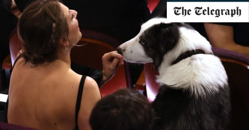 The Oscar moments you may have missed: From a naked wrestler to a peeing dog