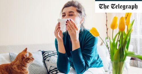 Why your house might be making your hayfever worse, and what to do about it