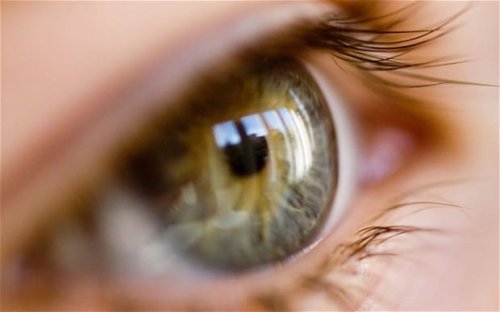 Diabetic blindness could be reversed with eye injection