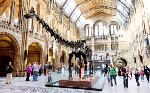 Half of world's museum specimens are wrongly labelled, Oxford University finds