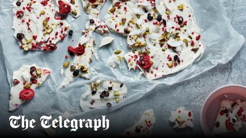 Frozen yogurt berry bark
