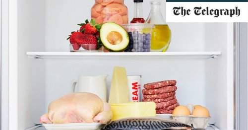 Don’t turn off fridges to beat rising energy costs, households warned