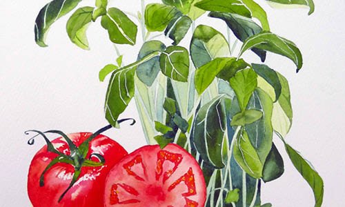 How to paint a still life in watercolour