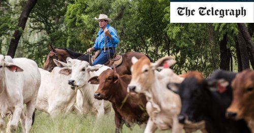 Aussie farmers are caught in the crossfire of the never-ending Brexit wars