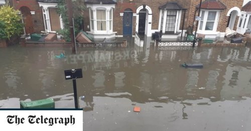 Plug sockets should be higher up the wall to make homes more flood resilient, says environment boss