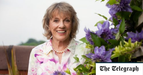 Dame Esther Rantzen says Skype won't combat loneliness of elderly like a hug and cuppa
