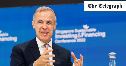 Mark Carney’s investment fund accused of deforestation