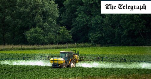 Number of toxic chemicals applied to vegetables has risen 17 fold since the 1960s