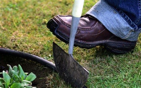 What to do in the garden this week: trim your lawn edge
