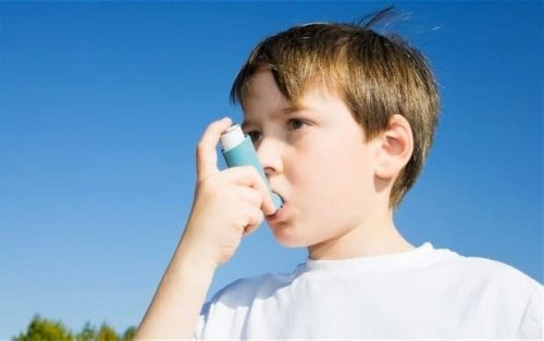 Cure for asthma on horizon as scientists find genetic cause