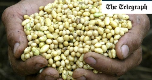 Why Veganism Isn t The Way To Fix The Environment Flipboard