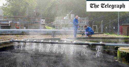 Covid could be spread through flatulence, say ministers