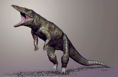 Giant walking crocodile terrorised Earth before dinosaurs