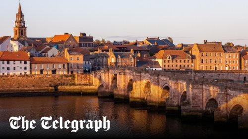 Smart meter rollout threatens countryside with ‘oppressive’ 40ft masts