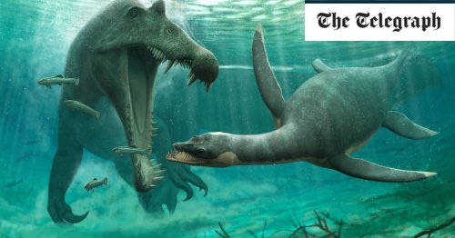 Existence of Loch Ness Monster is ‘plausible’ after fossil discovery