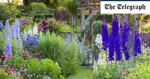 How to upgrade your garden in time for summer
