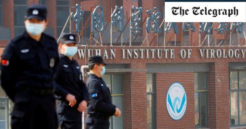 Revealed: How scientists who dismissed Wuhan lab theory are linked to Chinese researchers