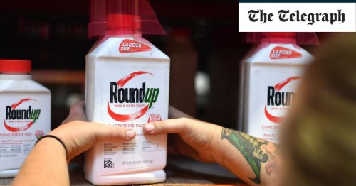 California jury orders Monsanto to pay $2 billion damages to a couple who got cancer from Roundup weedkiller
