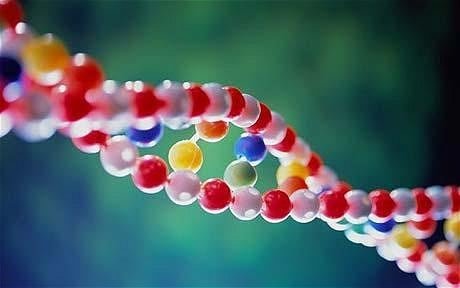 Genomics: what it could mean for the future of medicine