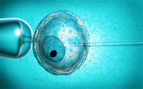 'Three-parent IVF babies should be offered to infertile older women'