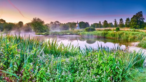 Gardens to visit in Hampshire