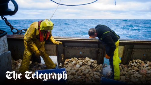 Starmer will cave to EU fishing demands under Brexit reset