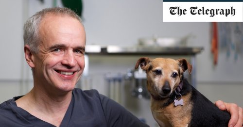 Pet Subjects: Telegraph vet Pete Wedderburn answers your questions