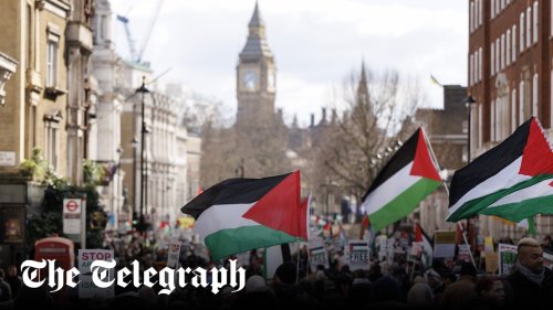 Watch: Pro-Palestine protesters strip Israeli hummus and avocados from supermarket shelves