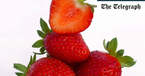 Why home-grown strawberries are still the best – and how to grow them