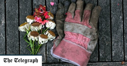 The best gardening gloves