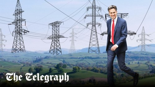Miliband could axe pylons to fight Reform threat
