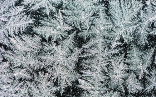 Beautiful winter frost patterns
