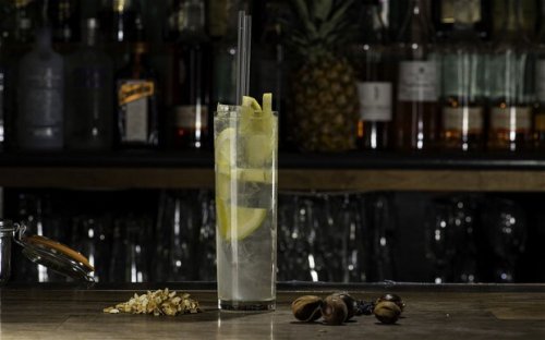 Gin cocktail recipes for summer