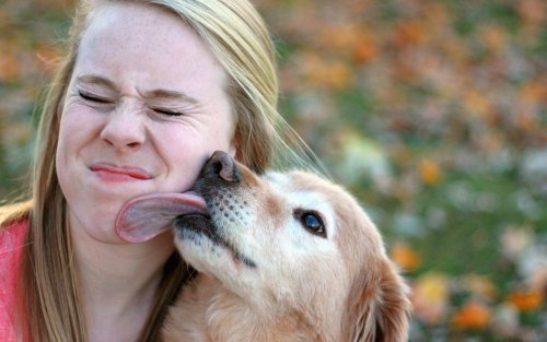 Why Does Your Dog Love to Lick Your Face?