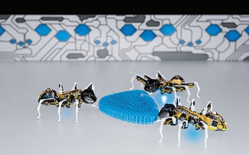 Will factories of the future be run by robotic ants?