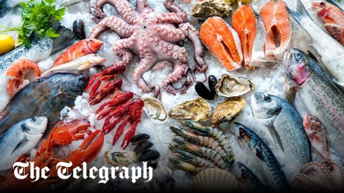 Why you should eat more fish (and shellfish) – and the healthiest types to try