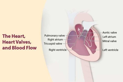How new advancements in Cardiology has reduced the need of open-heart surgeries