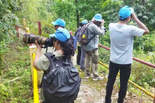 Rare finds at butterfly camp; two-day exercise for leipdopterists at in Kalimpong