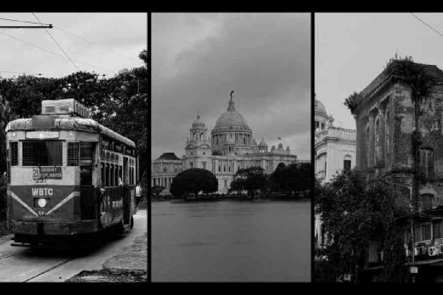 Leave the mic and gimbal, take the iphone 16 Pro on a video shoot