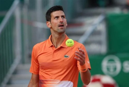Novak Djokovic : "C'est la force motrice à chaque fois...".