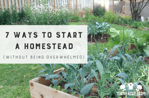 7 Ways to Start a Homestead (Without Being Overwhelmed)