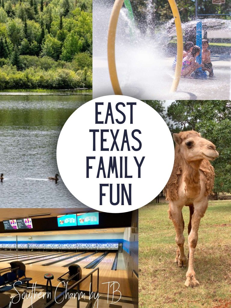 FUN IN EAST TEXAS - cover