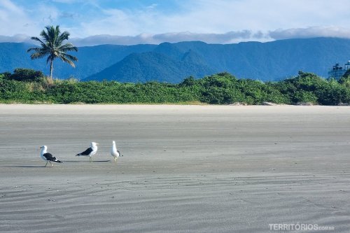 Riviera de São Lourenço em abril » Territórios » Por Ro Martins
