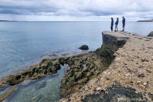 Viagem para Patagônia: Península Valdés » Territórios
