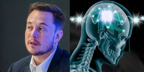 Elon Musk's Neuralink to livestream special project update on July 16