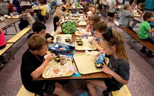One of the Most Effective Programs to Reduce Child Hunger Is Caught in DOGE Limbo