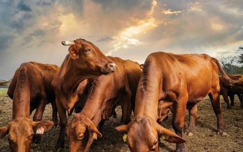 One man's quest for the end of the world started on a ranch in Texas